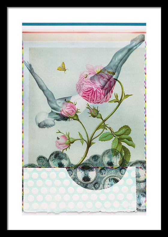 Dive - Framed Print